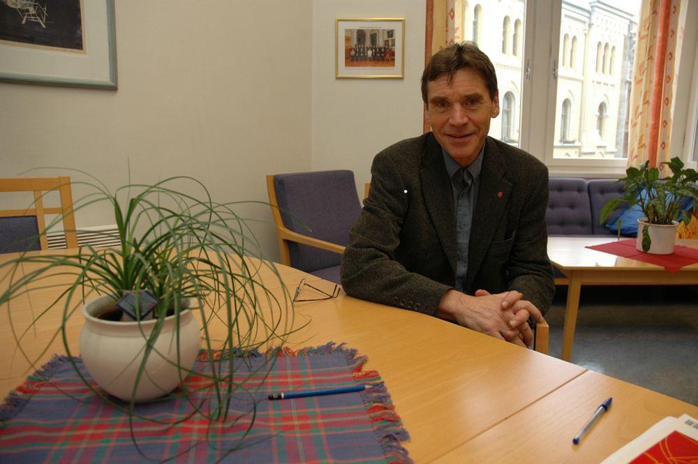 Torstein Rudihagen, Arbeiderpartiet.