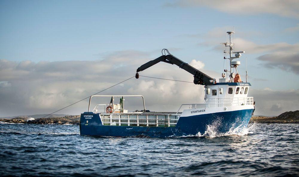 HØSTETUR: FMC bruker egne båter som høster tare langs norskekysten, fra Nordland i nord til Rogaland i sør.