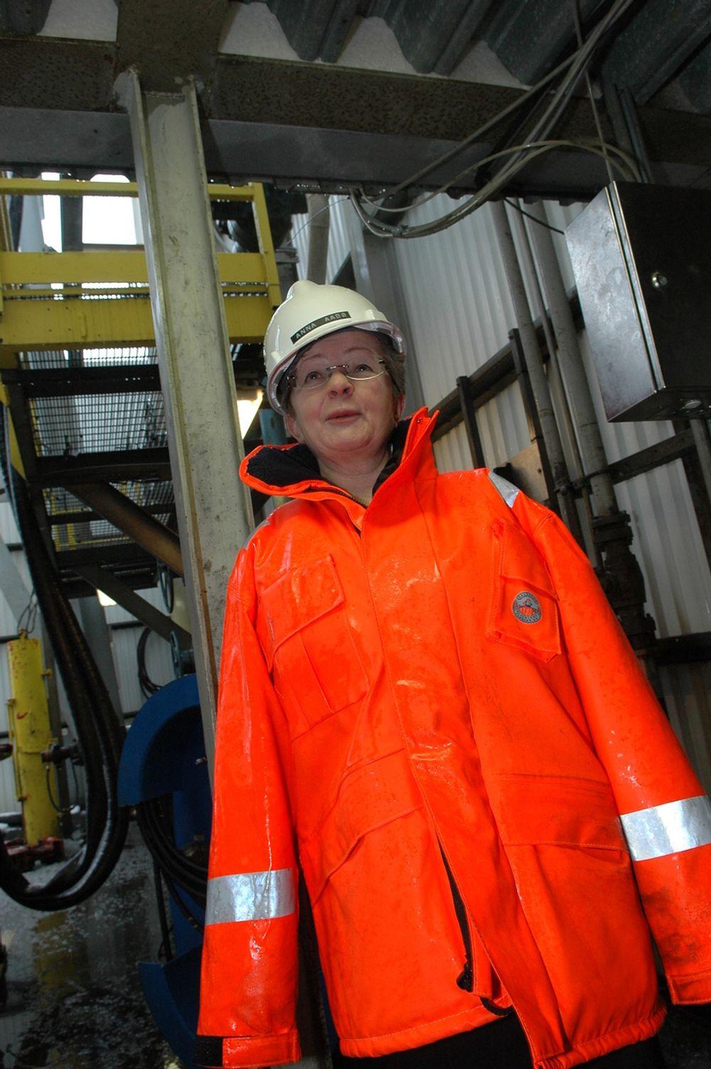 REN ENERGI: Sjef for forskningsstiftelsen Iris, Anna Aabø, er opptatt av forskning som gir ren og tilstrekkelig energi.
