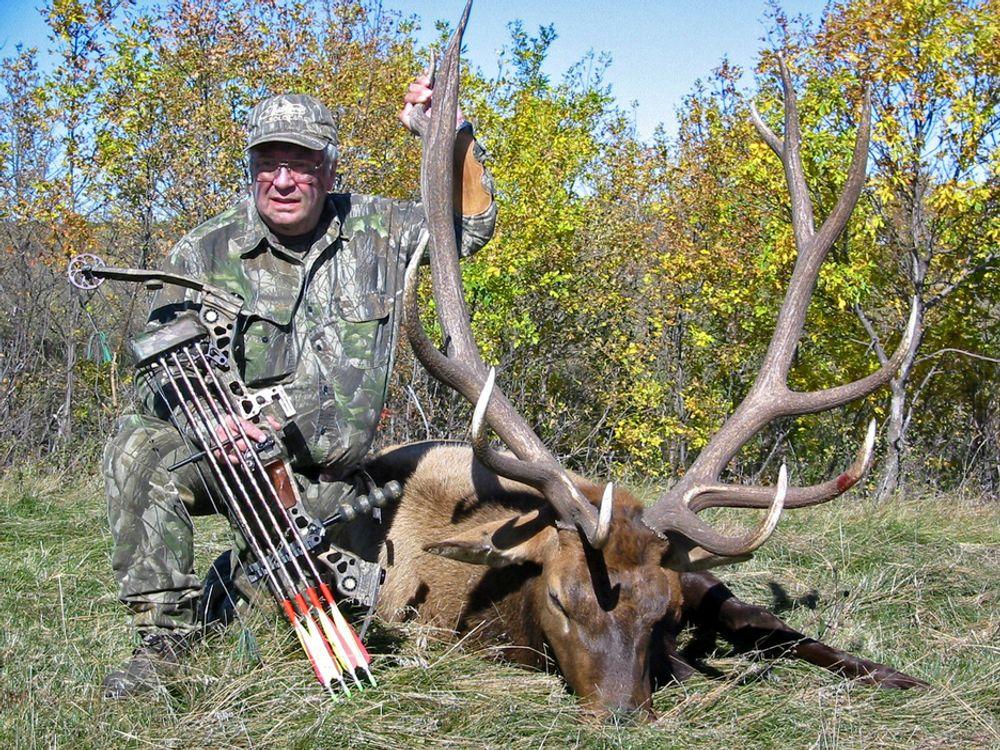 FELT MED TRINSEBUE:Norske buejegere går gjerne på jakt i USA. Her har Arve O. Vestgård felt en amerikansk elk (wapitihjort).