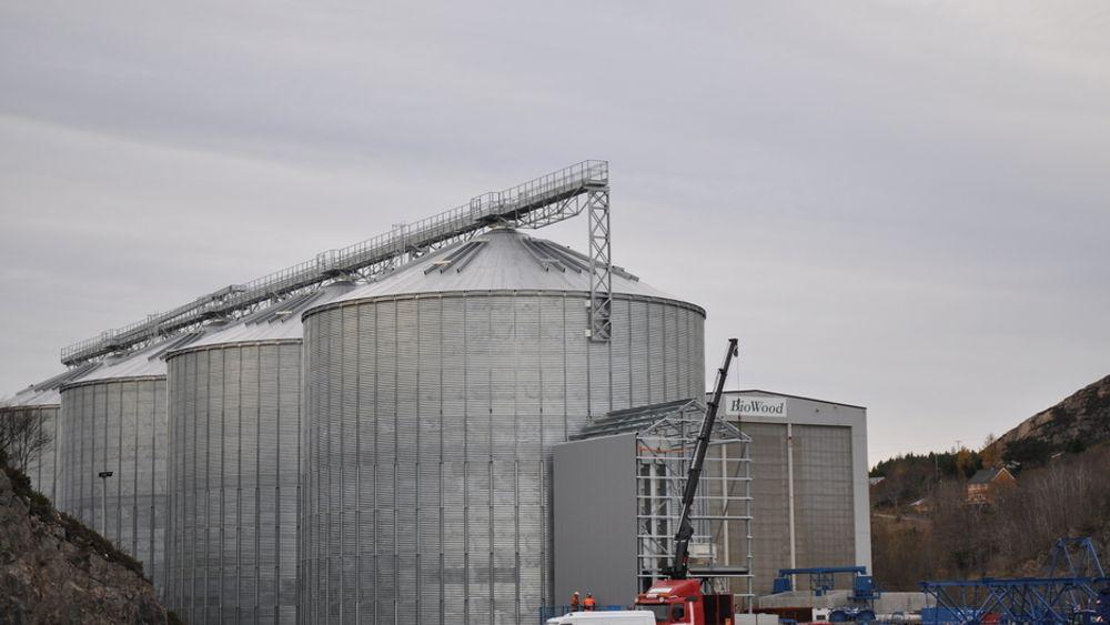 PELLETSFABRIKKER: Europas største pelletsfabrikk åpner til sommeren. I mars starter prøveproduksjonen, i stor grad med utenlandsk trevirke som innsatsmiddel.