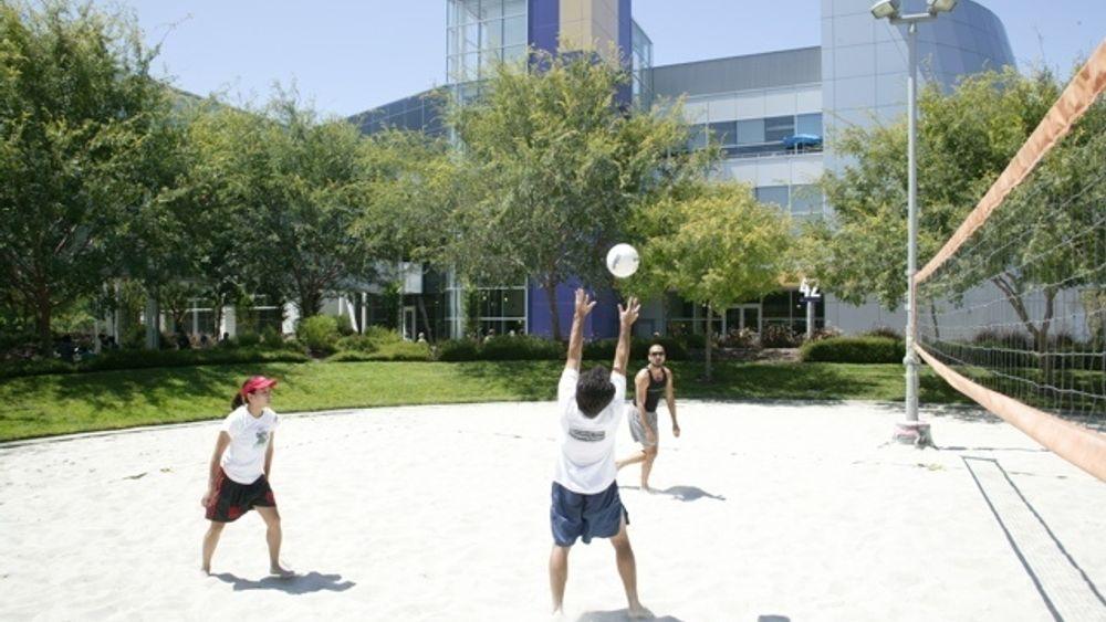 NYTT: Fasiliteter for volleyball er en av godene ved å jobbe for Google.
