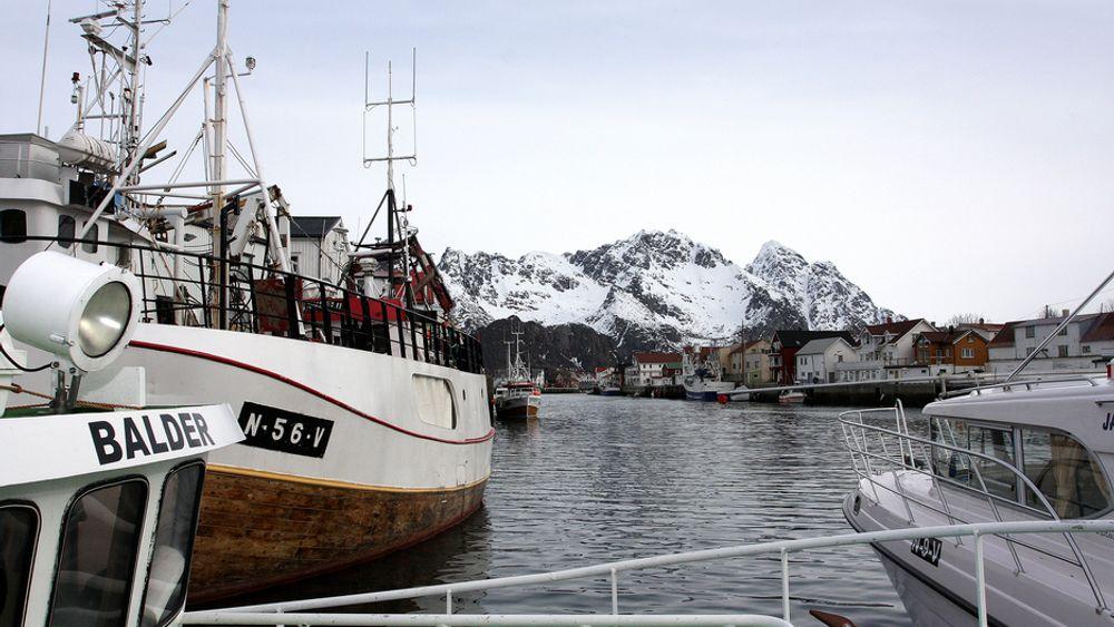 KRISE? Bellona mener oljesøl i Lofoten vil medføre store konsekvenser for fiskebestanden, og avviser resultatene i Veritas-rapporten.