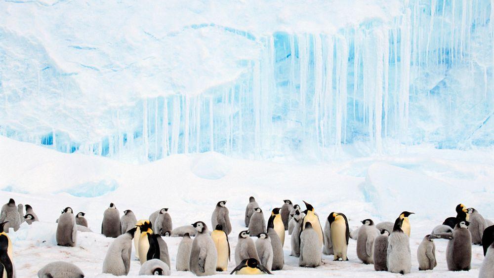 MER IS: Det har blitt mer is på Antarktis, til tross for global oppvarming. Forskerne mener det tynne ozonlaget over Sydpolen kan ha endret værforholdene og utsatt oppvarmingen av disse områdene.