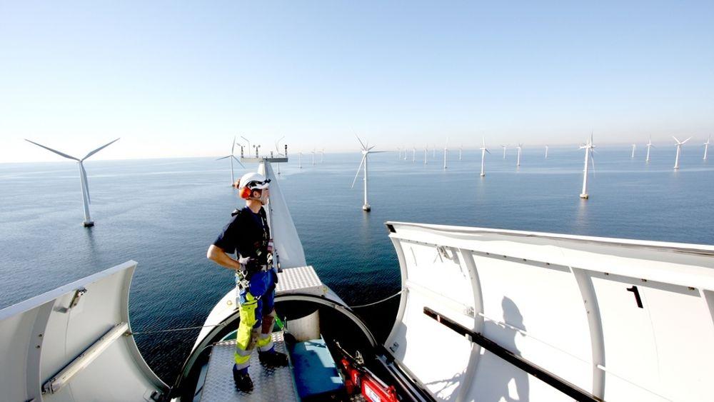 TIDLIG PARK: Dette er havvindparken Lillgrund i Sverige på rundt 90 MW. Parkene som bygges nå er langt større. I fjor ble det installert 883 MW havvind i Europa fordelt på ni prosjekter, ifølge EWEA. Det er over 50 prosent mer enn året før, og 3000 nye MW er under bygging.