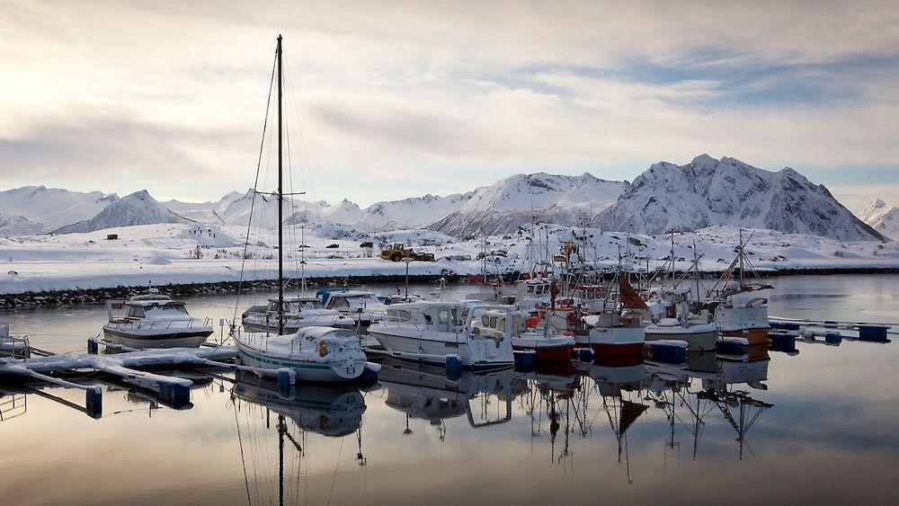 Arbeiderpartiet vil utrede Lofoten for petroleumsutvinning. Det får miljøbevegelsen til å se rødt. 