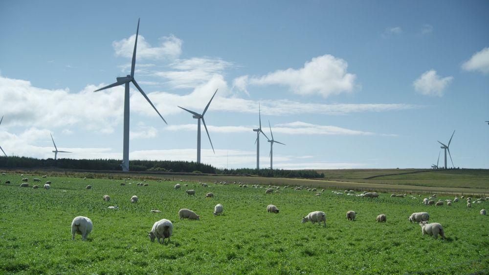 Vindkraft har de sist ukene utgjort 12 prosent av energimiksen i Storbritannia. Bildet er fra Baillie vindpark i Skottland.