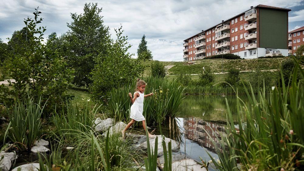 Prosjektet Bjerkedalen park, et ledd i åpningen av Hovinbekken fra marka til fjorden, vant blant annet Oslo bys arkitekturpris i 2015. Prosjektet er et godt eksempel på hvordan dammer naturlig kan håndtere overvann i byene våre.