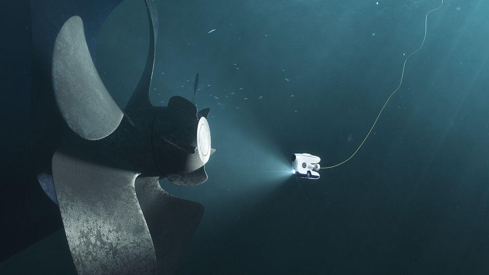 Blueye Robotics er blant de nominerte til Norwegian Tech Awards i kategorien maritim.