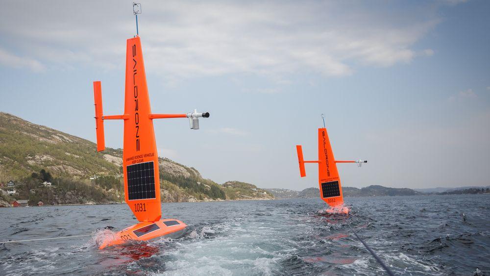 To havforskningsdroner laget av det amerikanske selskapet Saildrone. De skal samle inn data fra Nordsjøen.