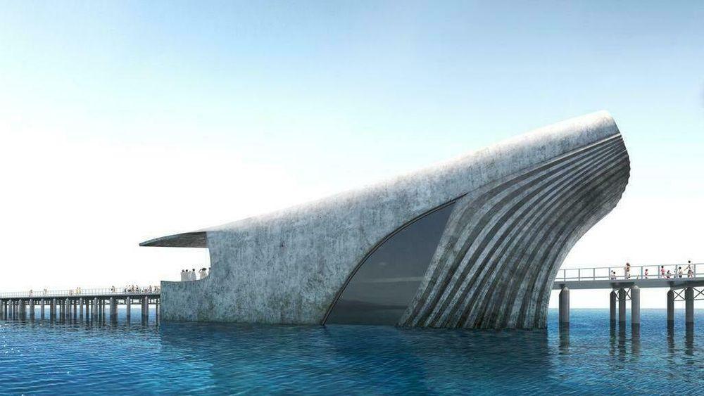 Hval-designet vant da det ble holdt avstemning over arkitektens tre forslag til undervannssenter i Busselton i Australia.