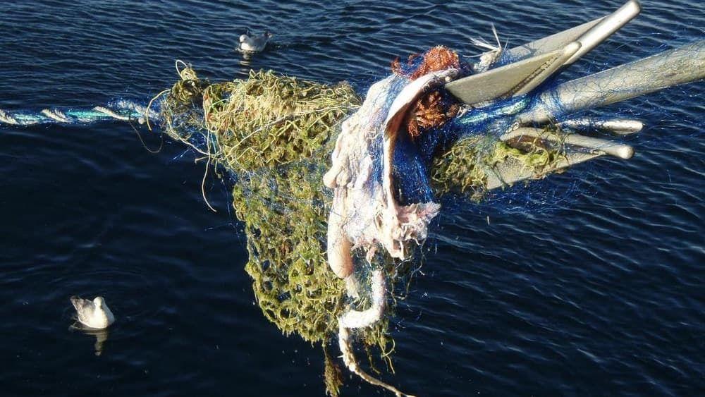 Nye regler kan gi mindre spøkelsesfiske. Her er et tapt fiskeredskap fra et opprenskingstokt i 2019.